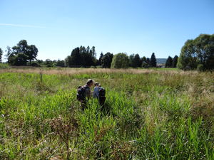 Kartierung_Hochmoor